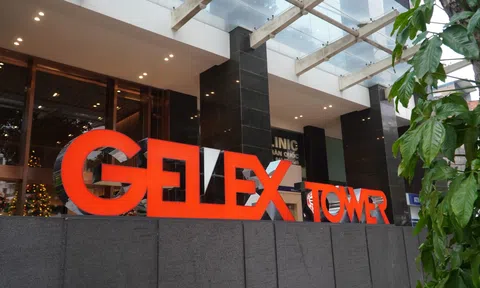 GELEX báo lãi 9 tháng gấp 1,5 lần cùng kỳ, nợ vay vượt 22.000 tỷ đồng