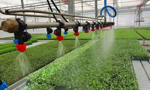 Chuyển đổi số là xu thế tất yếu trong phát triển nông nghiệp hiện đại