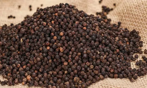 Giá tiêu hôm nay 29/10/2025: Ổn định sau phiên tăng mạnh đầu tuần