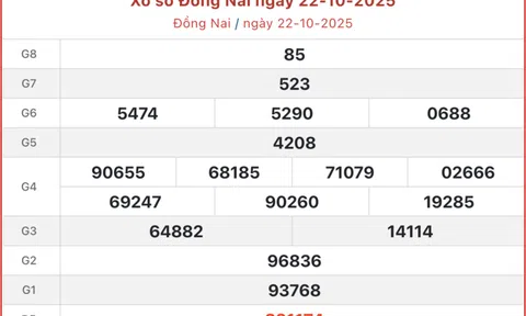 Kết quả xổ số Đồng Nai hôm nay 29/10/2025 - XSDN 29/10