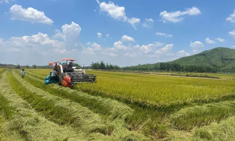 Đắk Lắk: Tín dụng chính sách lan tỏa sức sống mới trên vùng đất Krông Pắc