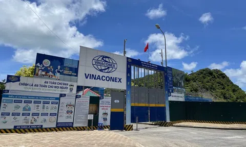 Vinaconex báo lãi kỷ lục sau thương vụ thoái vốn tại chủ đầu tư Cát Bà Amatina