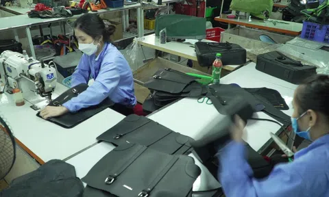 Nâng cao năng lực phòng vệ thương mại cho ngành da giày Việt Nam