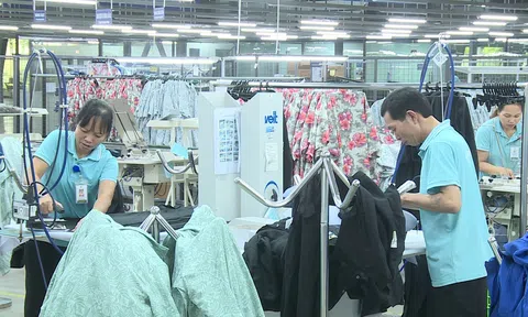 Doanh nghiệp Việt cần tuân thủ quy định xuất xứ để ứng phó với vụ kiện phòng vệ thương mại