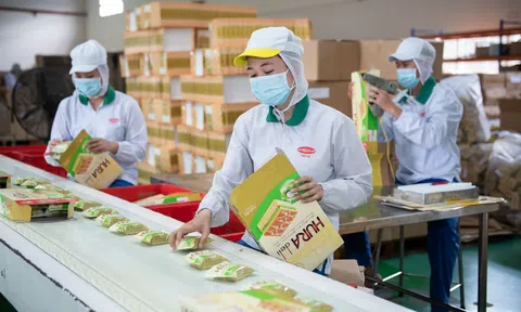 Tập đoàn hàng tiêu dùng của Indonesia mua lại Bibica