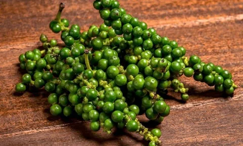 Giá tiêu hôm nay 6/11/2025: Hồ tiêu lặng sóng