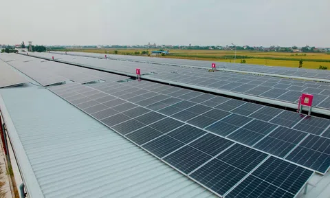 Chủ động phòng vệ thương mại để xây dựng thị trường xuất khẩu bền vững cho pin mặt trời