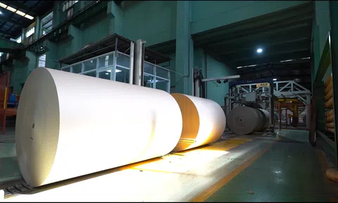Ngành giấy chủ động các biện pháp phòng vệ thương mại để mở rộng thị trường xuất khẩu mới
