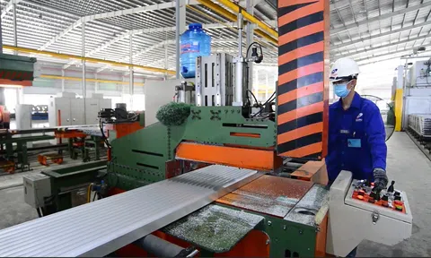 Hạn chế rủi ro từ các cuộc điều tra phòng vệ thương mại: Doanh nghiệp Việt cần làm gì?