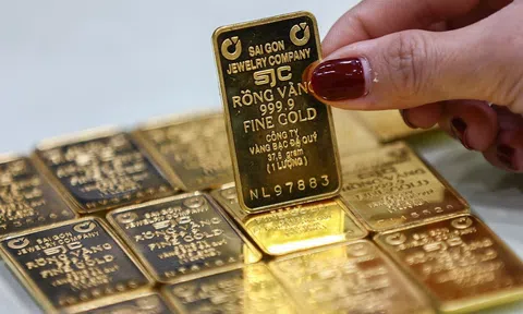 Giá vàng hôm nay 7/11/2025: Vàng miếng, vàng nhẫn tăng mạnh