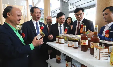 Thanh Hóa: 97 hộ nông dân xuất sắc được biểu dương