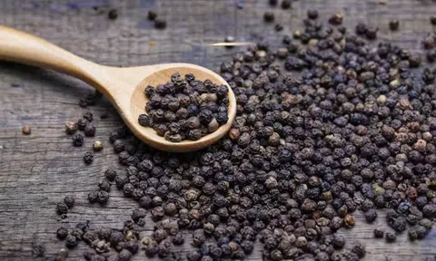 Giá tiêu hôm nay 8/11/2025: Thị trường ổn định