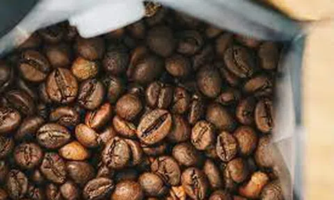 Giá cà phê hôm nay 9/11/2025: Tăng mạnh vào cuối tuần