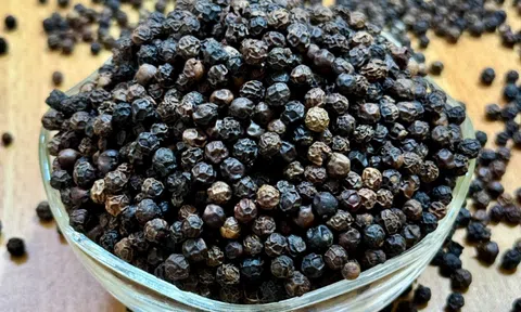 Giá tiêu hôm nay 10/11/2025: Hồ tiêu ở mức cao