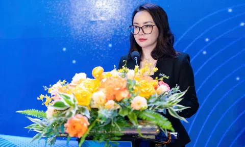 Tổng Giám đốc FLC hé lộ kế hoạch mới cho Bamboo Airways và thời điểm cổ phiếu FLC trở lại UPCOM