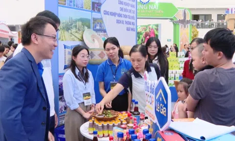 Thanh Hóa: Đưa nhiều sản phẩm OCOP vươn ra thị trường thế giới