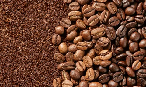 Giá cà phê hôm nay 12/11/2025: Thị trường biến động trái chiều, giá nội địa giảm nhẹ