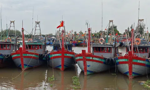 Ninh Bình quyết liệt các nhiệm vụ trọng tâm về chống khai thác IUU