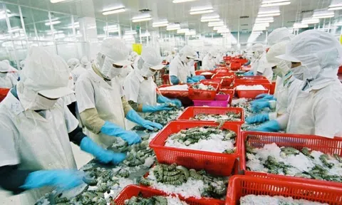 Lợi nhuận doanh nghiệp thủy sản dự báo giảm tốc trong quý cuối năm