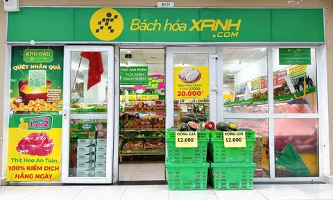 Bách Hóa Xanh dự kiến khai trương loạt siêu thị tại Ninh Bình vào cuối tháng 11, chính thức "Bắc tiến"