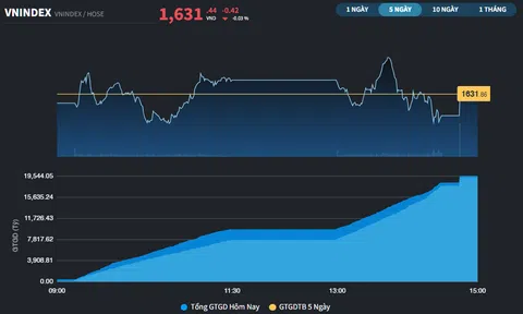 Đã có những cổ phiếu Midcap tăng trần