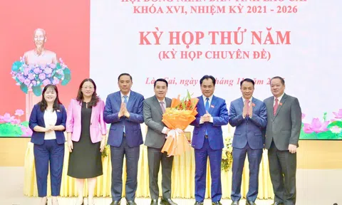 Đồng chí Nguyễn Tuấn Anh giữ chức Chủ tịch UBND tỉnh Lào Cai