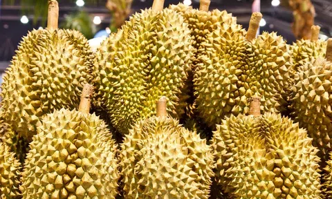 Giá sầu riêng hôm nay 14/11/2025: Thị trường ổn định