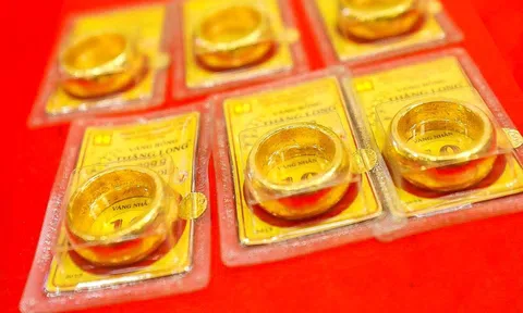 Giá vàng hôm nay 15/11/2025: Giảm sốc