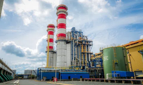 PV Power thu gần 29.000 tỷ đồng sau 10 tháng, Nhơn Trạch 3 phát điện thương mại từ tháng 11