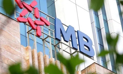 Pyn Elite Fund không còn là cổ đông nắm trên 1% vốn điều lệ tại MB