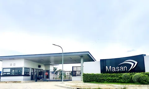 Masan Consumer dự kiến phát hành gần 238 triệu cổ phiếu, nâng vốn lên hơn 13.000 tỷ đồng