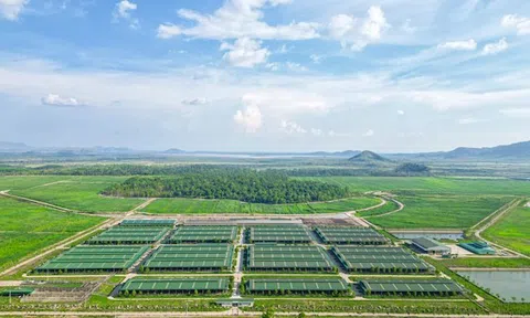 THACO AGRI đề xuất nhiều cơ chế đặc thù cho dự án nông nghiệp ở Gia Lai