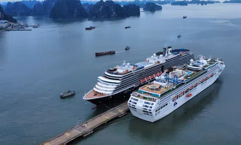 Quảng Ninh lần đầu tiên tổ chức Ngày Lữ hành Việt Nam 2025