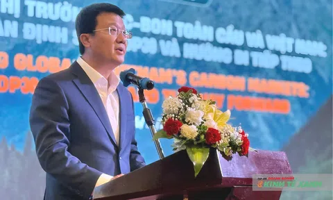 Định hướng thị trường các-bon: Bước tiến cho tăng trưởng xanh tại Việt Nam