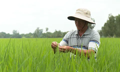 Diễn đàn Kinh tế hợp tác, Hợp tác xã 2025: Hướng đi tài chính trong thực thi Nghị quyết 68