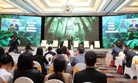 Từ chính sách đến thực thi: Doanh nghiệp Việt vẫn gặp khó khăn trong theo đuổi ESG