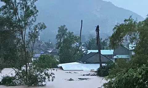 Trận mưa lũ lịch sử đã gây thiệt hại lớn tại Đắk Lắk