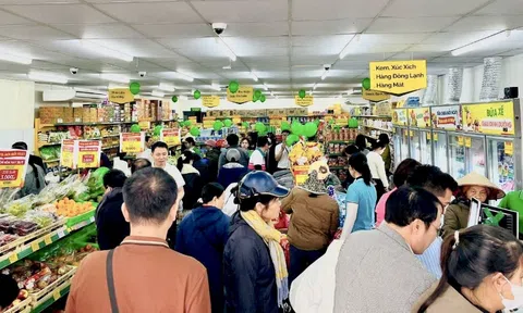 Bách Hóa Xanh đồng loạt khai trương 20 siêu thị tại Ninh Bình, mở đầu tham vọng "Bắc tiến"