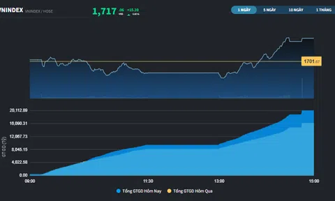 Thanh khoản cải thiện, VN100 ghi nhận gần 50% mã tăng giá