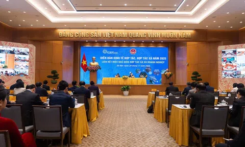 Liên kết hợp tác xã - doanh nghiệp tạo chuỗi giá trị bền vững