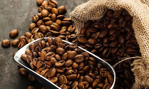 Giá cà phê hôm nay 5/12/2025: Giá cà phê tiếp đà giảm mạnh