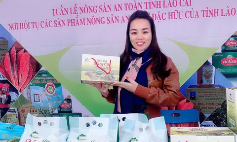 Lào Cai: Gạo Séng Cù Mường Vi – từ sản phẩm bản địa đến thương hiệu nông nghiệp xanh