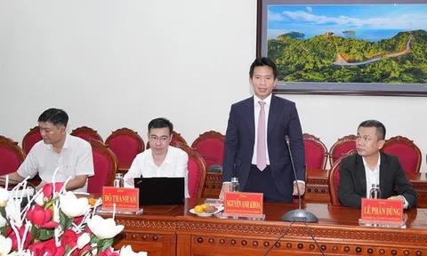 Năng lượng VinEnergo thuộc Vingroup có CEO mới