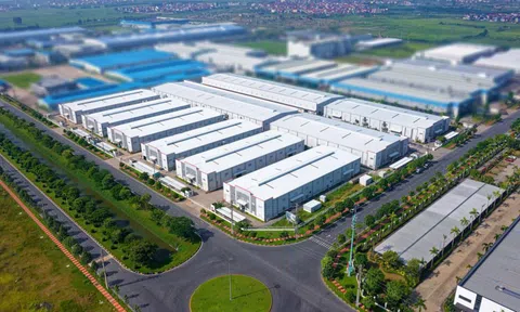 Việc thành lập doanh nghiệp FDI phải đảm bảo những điều kiện gì?