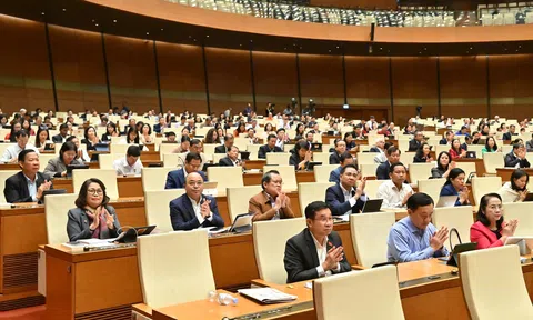 Từ 1/7/2026, viên chức được phép góp vốn, tham gia điều hành doanh nghiệp tư nhân