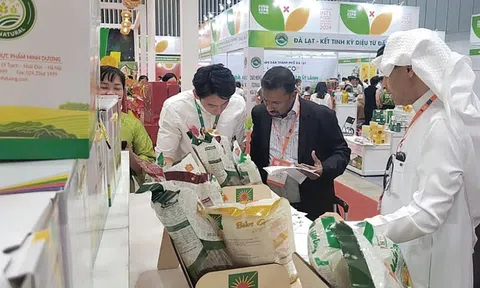 Khánh Hòa, Đà Nẵng thúc đẩy hợp tác đầu tư với doanh nghiệp thị trường Halal