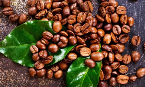 Giá cà phê hôm nay 12/12/2025: Arabica tiếp tục tăng mạnh, trong khi robusta lại giảm nhẹ