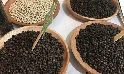 Giá tiêu hôm nay 20/12/2025: Ổn định cả trong nước và nước ngoài