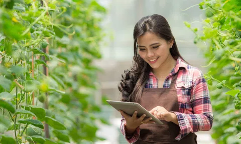 Tăng hỗ trợ BHXH tự nguyện cho nông dân: Kỳ vọng lớn, thách thức không nhỏ