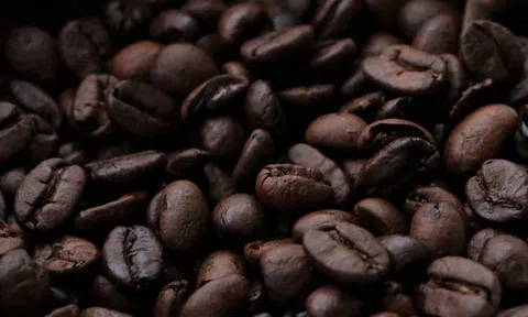 Giá cà phê hôm nay 21/12/2025: Duy trì ổn định sau đợt điều chỉnh giảm mạnh